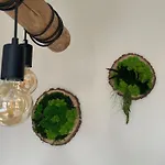Natura *